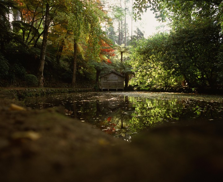 A small wooden cabin stands at the edge of a pond surrounded by lush trees with autumn foliage.