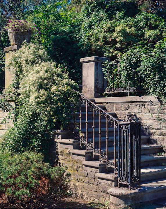 A stone staircase with an ornate iron railing is surrounded by lush green foliage and flowering bushes.