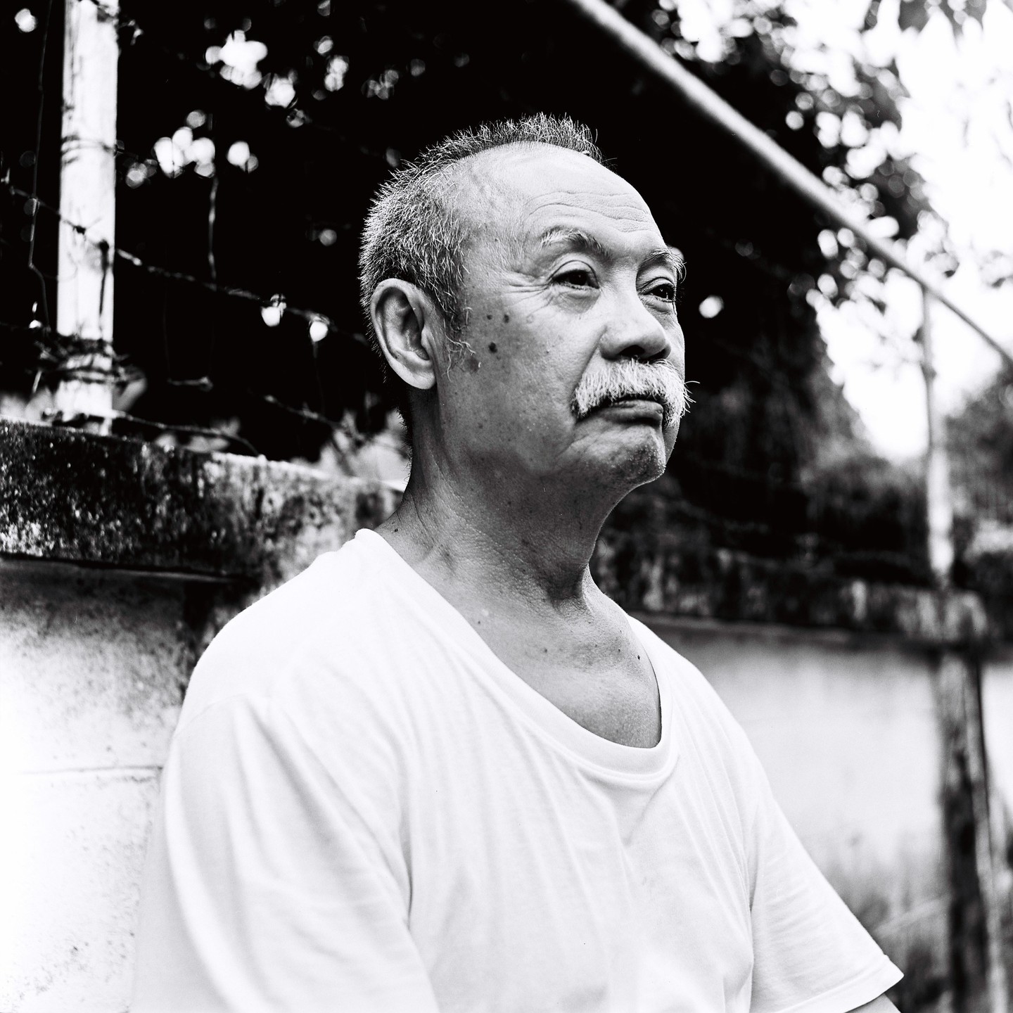 A man with a mustache looks to the right of the frame, with a wall and foliage in the background.