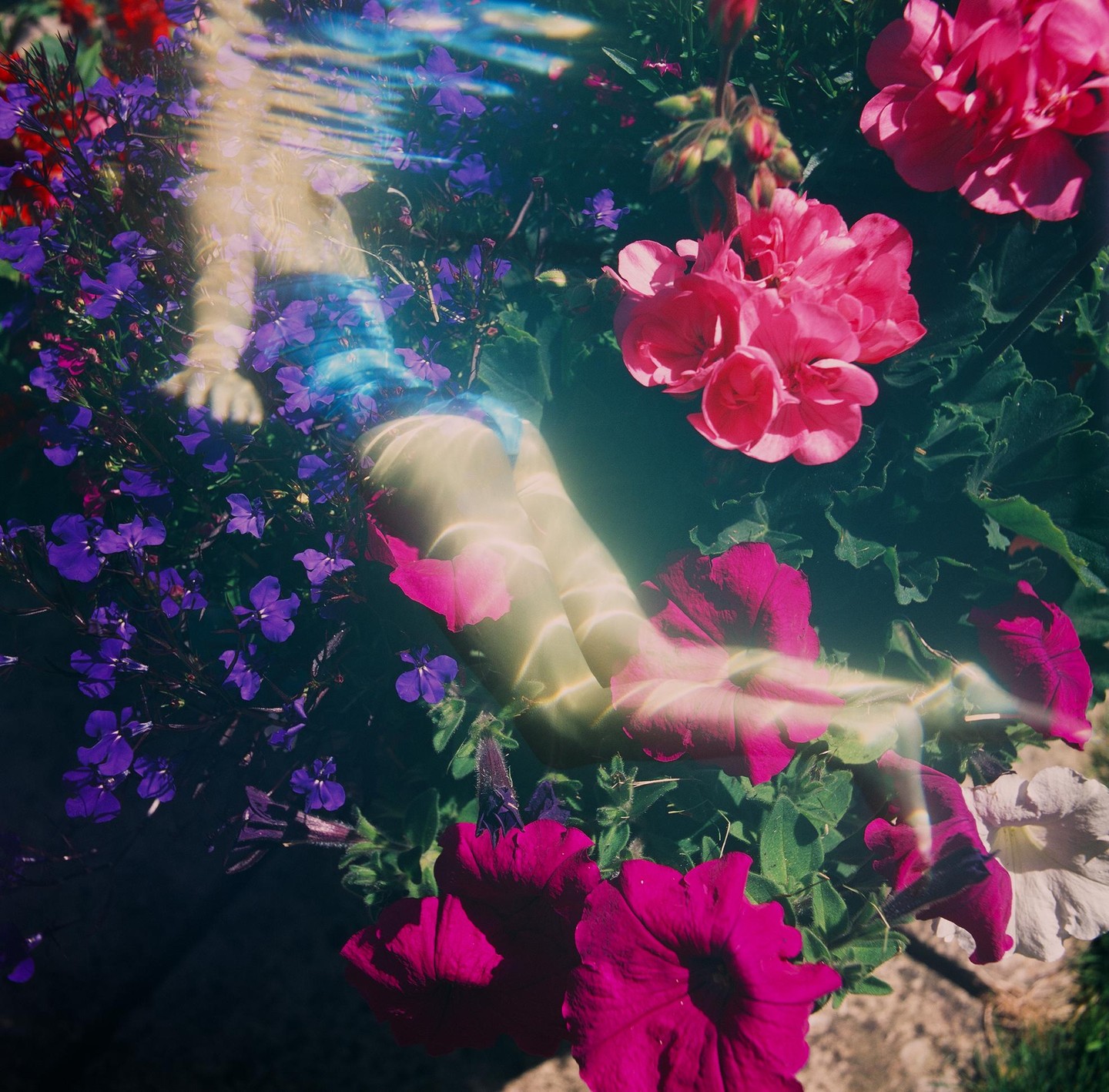 A person floats in water surrounded by pink and purple flowers.