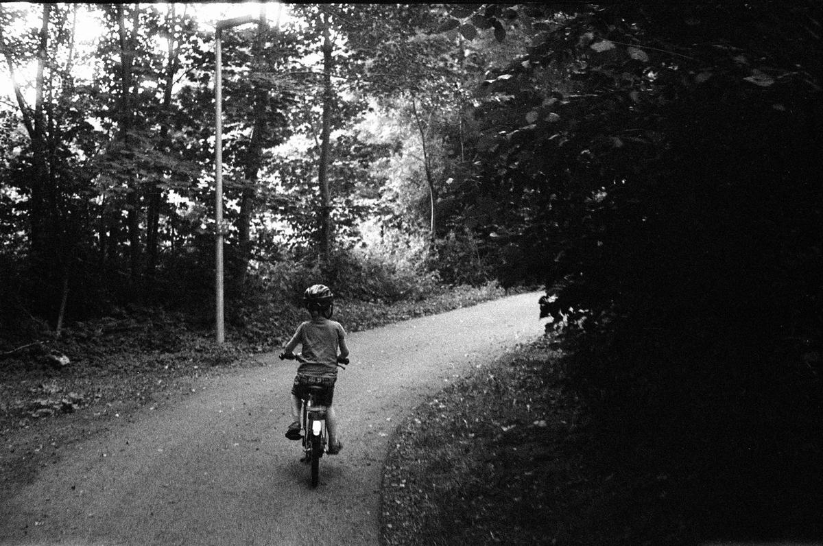 A child on a bicycle rides away from the viewer on a winding path through a forest.