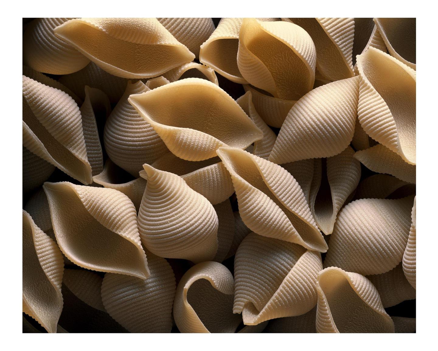 A close-up shot shows a pile of conchiglione pasta shells.