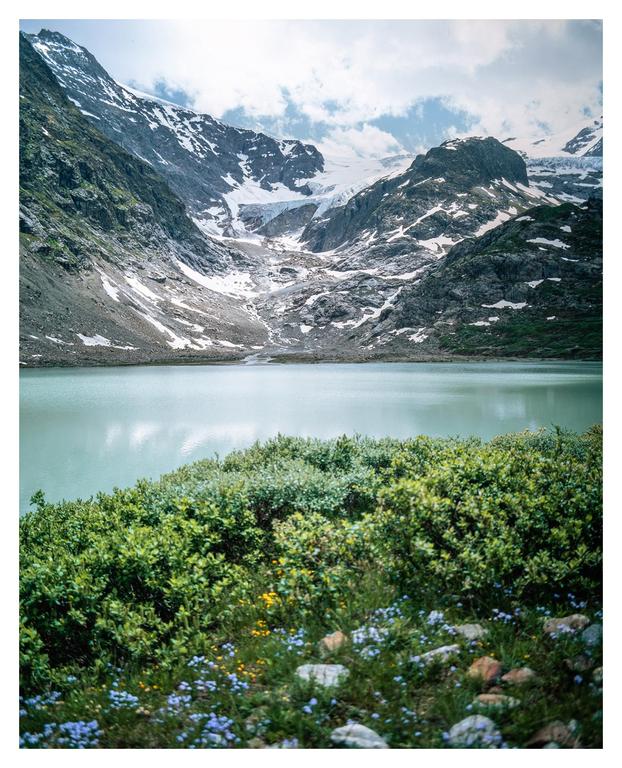A glacial lake is surrounded by snow-capped mountains and green foliage with small blue and yellow flowers.
