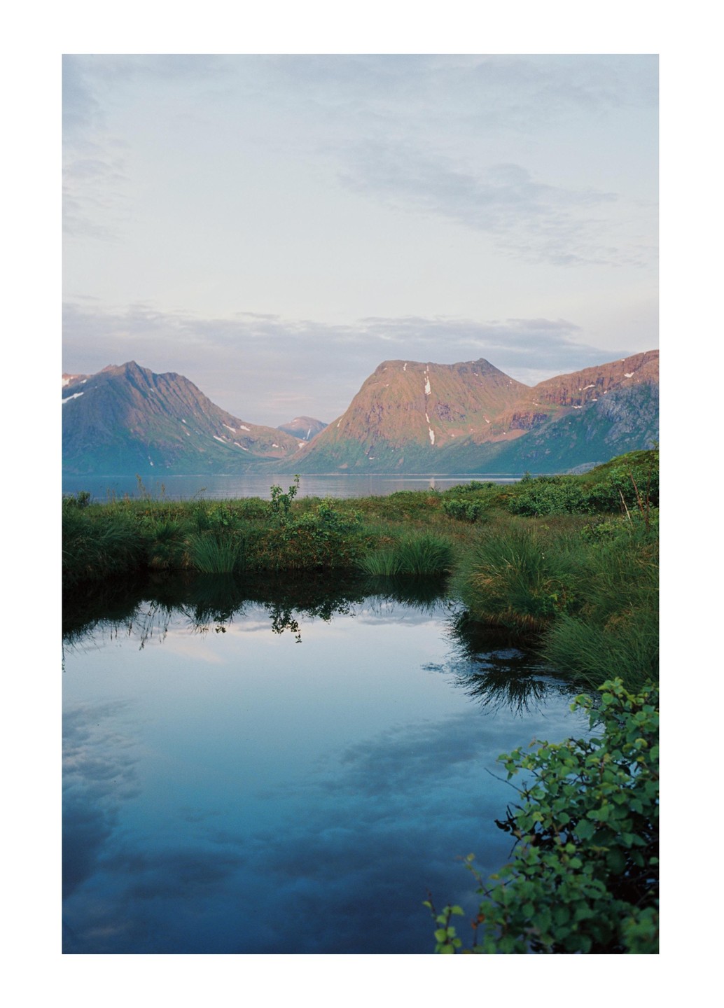 A small pond reflects the sky and mountains in a swampy landscape.