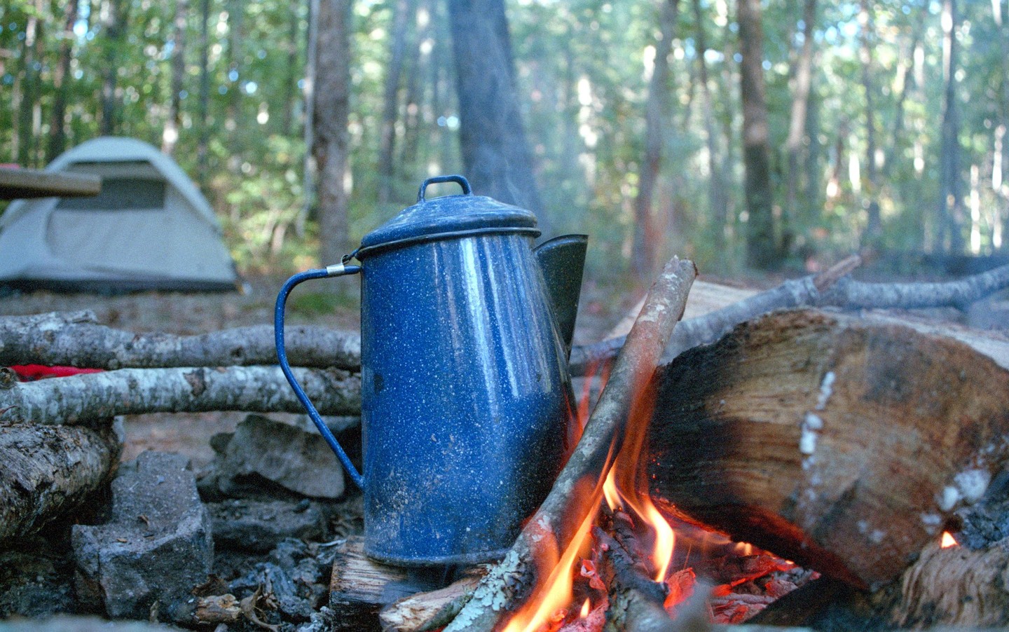 A blue coffee pot sits on a campfire with a tent visible in the background.