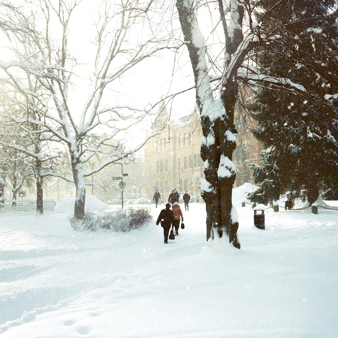 People walk through a snow-covered park with trees and a building in the background.