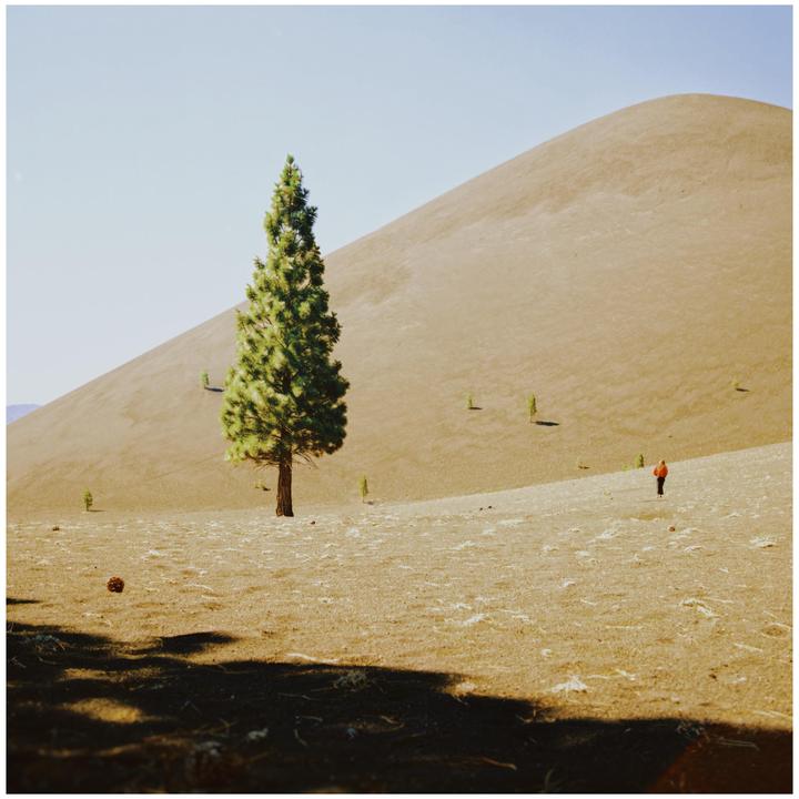 A lone tree stands in a vast, barren landscape with a person in the distance.
