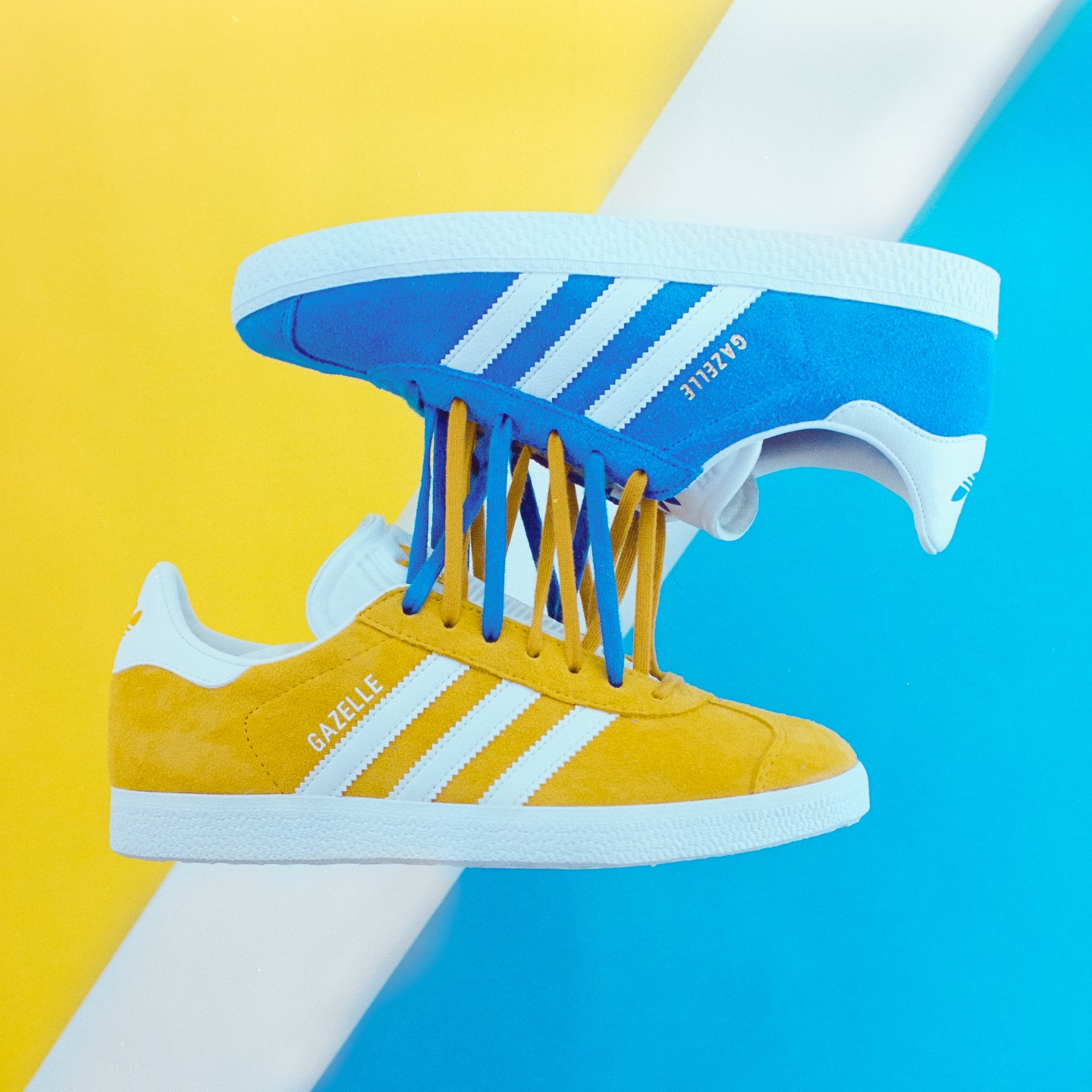 A yellow and a blue Adidas Gazelle sneaker are tied together by their laces against a yellow and blue background.