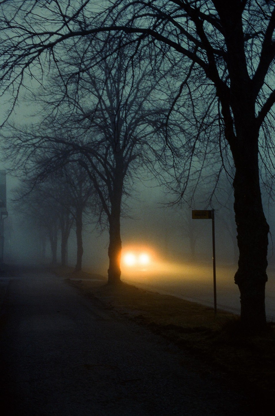 A car with bright headlights approaches on a foggy road lined with bare trees.