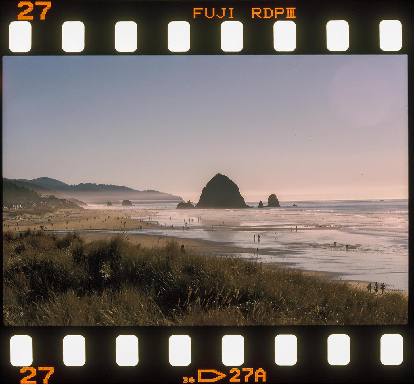 A wide beach with many people and large rock formations in the water is seen from behind tall grass.