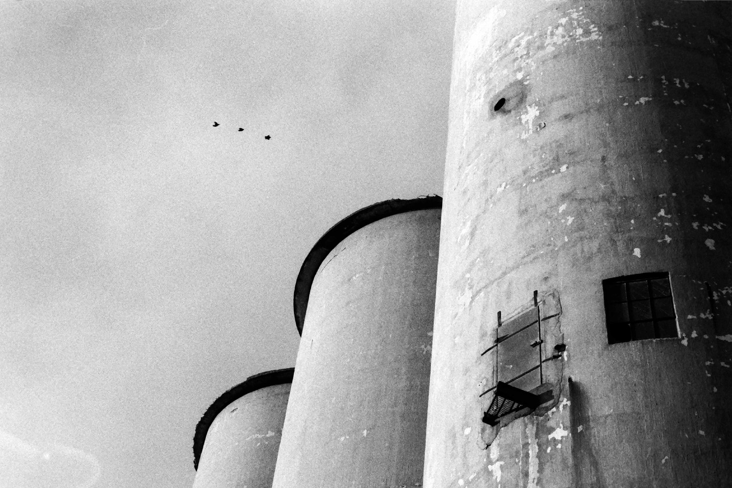 Three birds fly above three concrete silos, one of which has a small window and a metal grate.