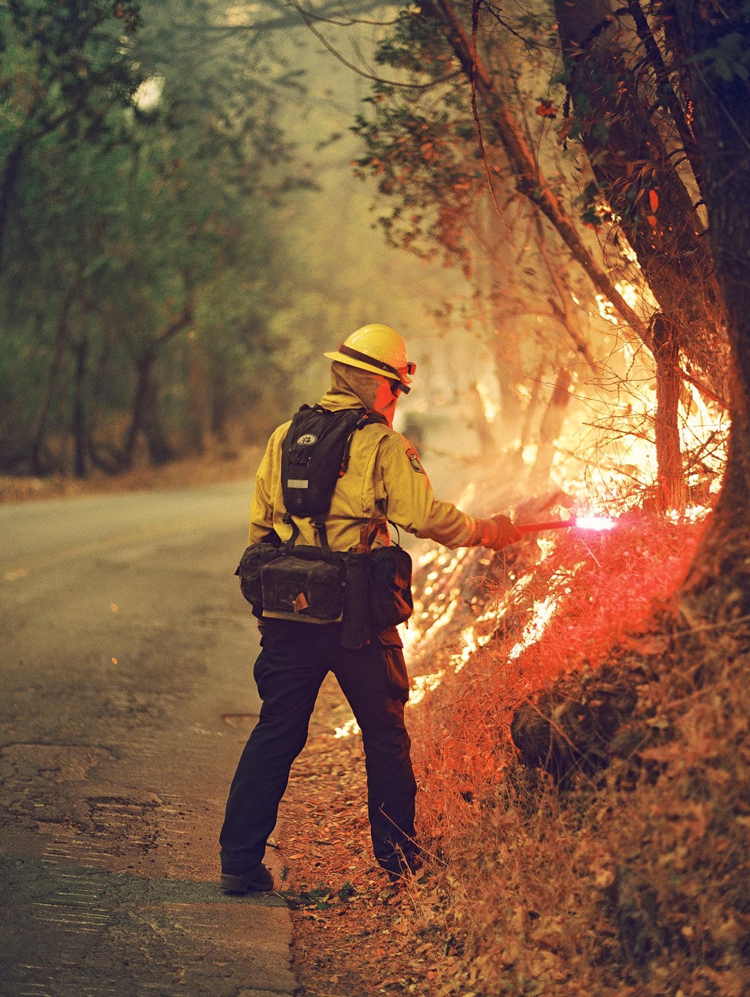 A firefighter in protective gear stands by a road, holding a flare to ignite dry brush along a tree line.