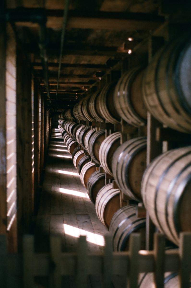 Sunlight streams into a long, narrow room filled with rows of wooden barrels.
