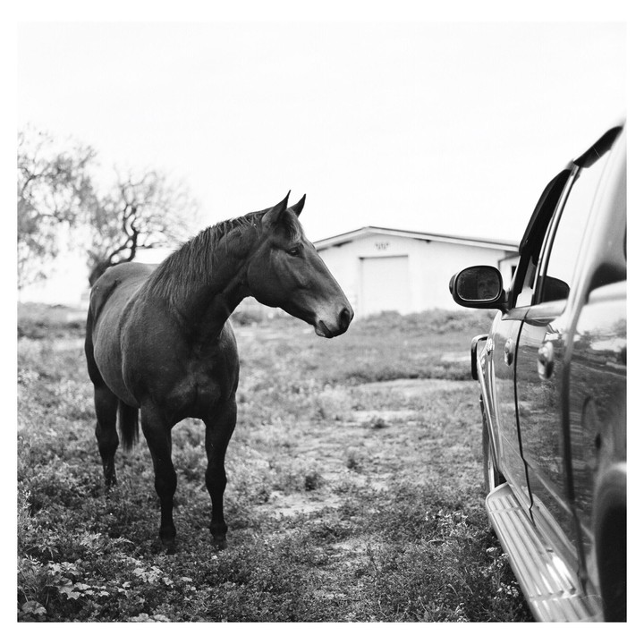 A horse stands in a field next to a truck with a white building in the background.