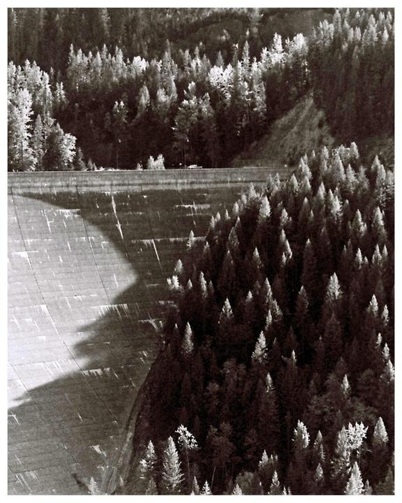 A large concrete dam with a road on top is surrounded by a dense forest.
