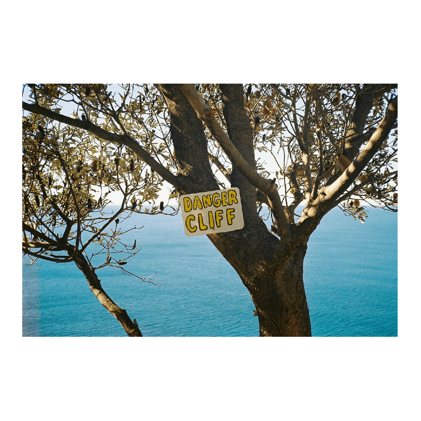 A yellow "DANGER CLIFF" sign is nailed to a tree overlooking a body of water.