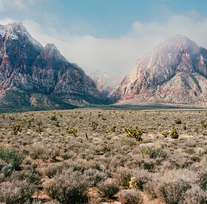 A vast desert landscape features low-lying scrub brush and scattered cacti in the foreground, with towering, rugged mountains partially obscured by haze in the background.
