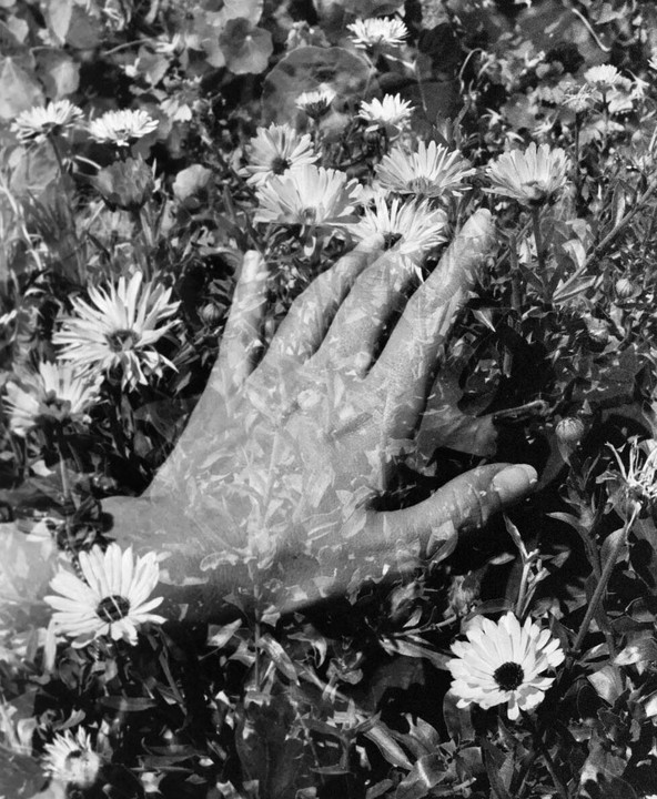 A hand is superimposed over a garden of blooming flowers and foliage.