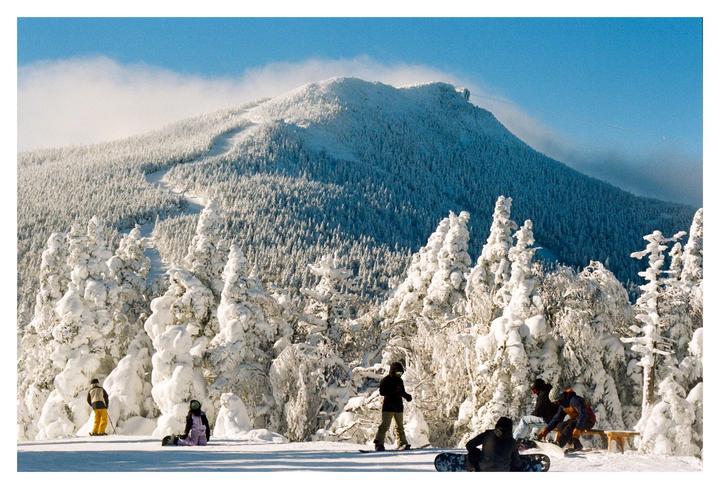 Snowboarders are gathered on a snowy mountain with snow-covered trees and a mountain peak in the background.