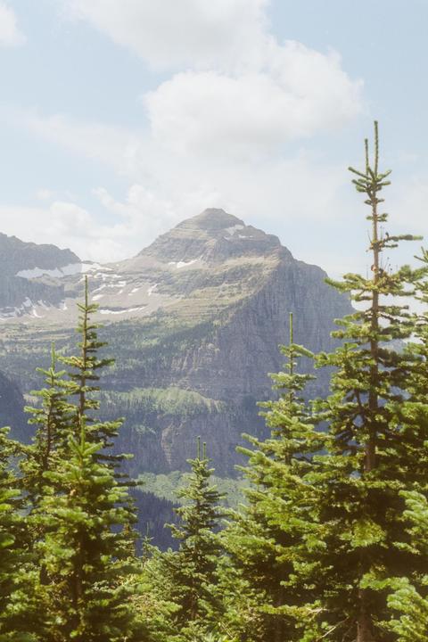 A mountain with snow on its slopes rises behind a forest of pine trees under a cloudy sky.