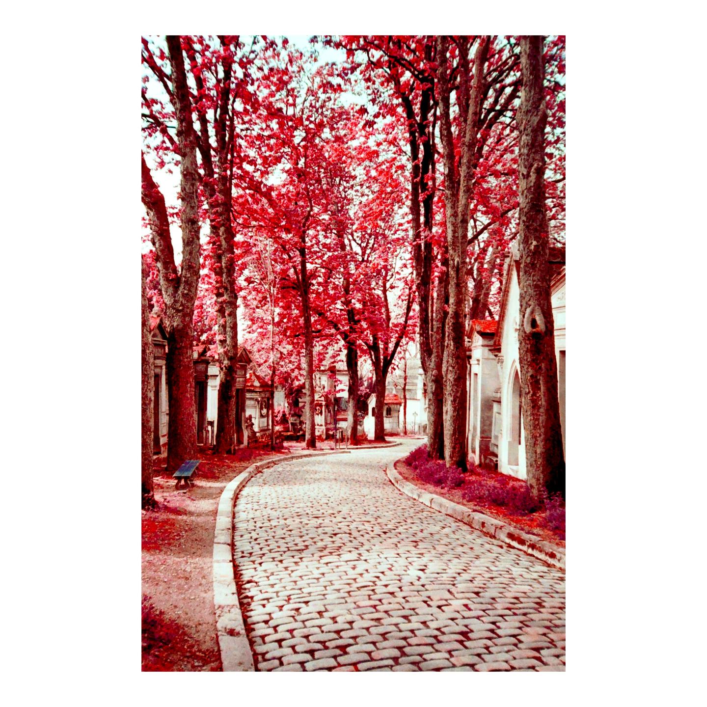 A winding cobblestone path is lined with trees with red foliage and mausoleums.
