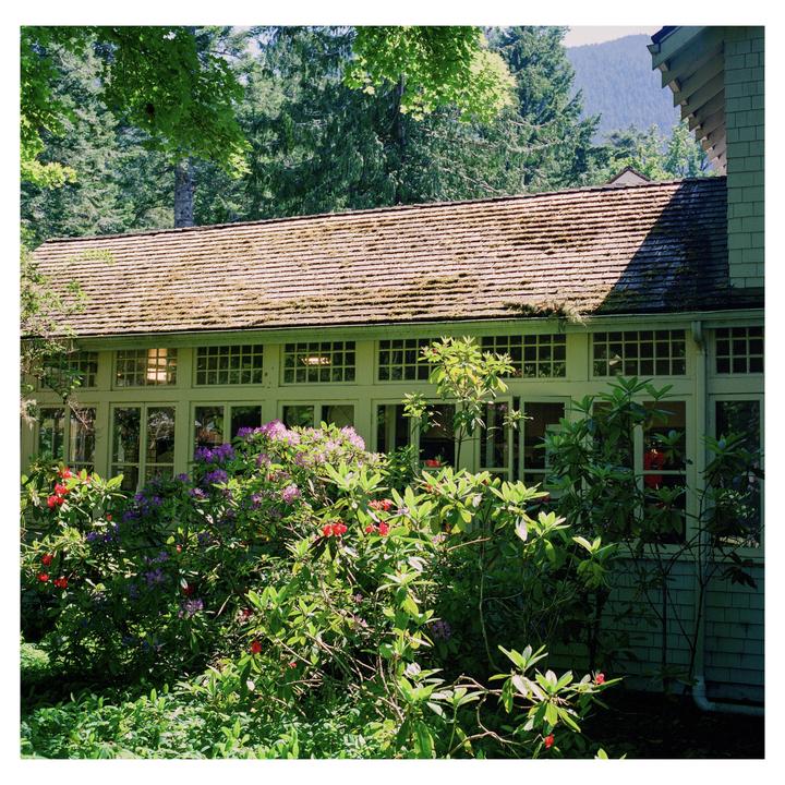 A building with a mossy roof and many windows is surrounded by flowering bushes and trees.