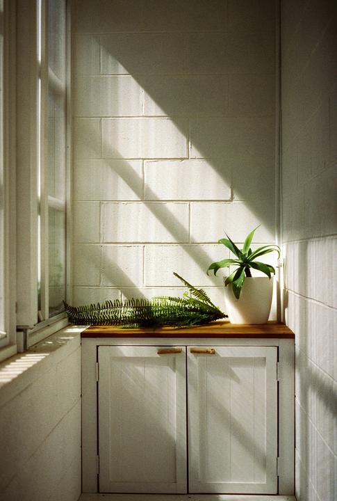Sunlight streams through a window onto a white brick wall, illuminating a potted plant and a fern on a wooden cabinet.