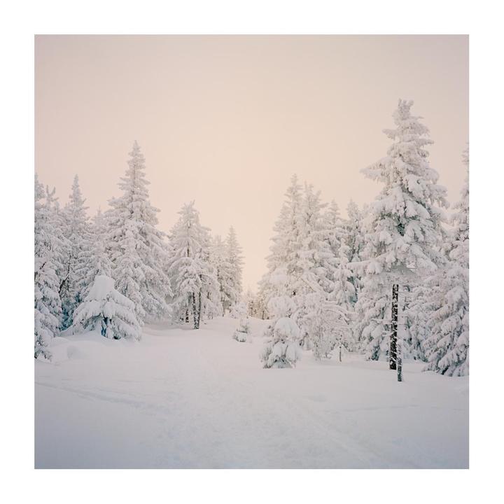 A snow-covered forest with evergreen trees is visible under a hazy sky.