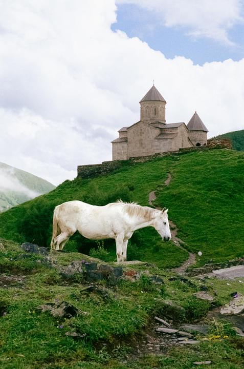 A white horse stands on a grassy hill with a stone church in the background under a cloudy sky.
