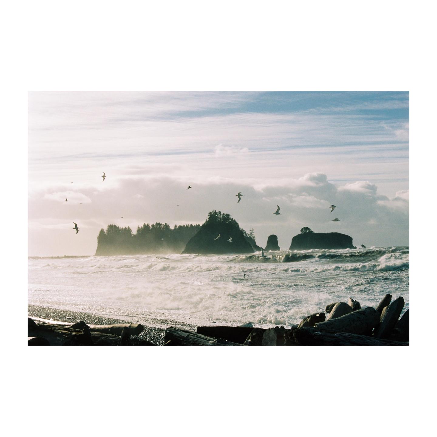A flock of birds flies over a rocky beach with large waves crashing against the shore and tree-covered islands in the background.