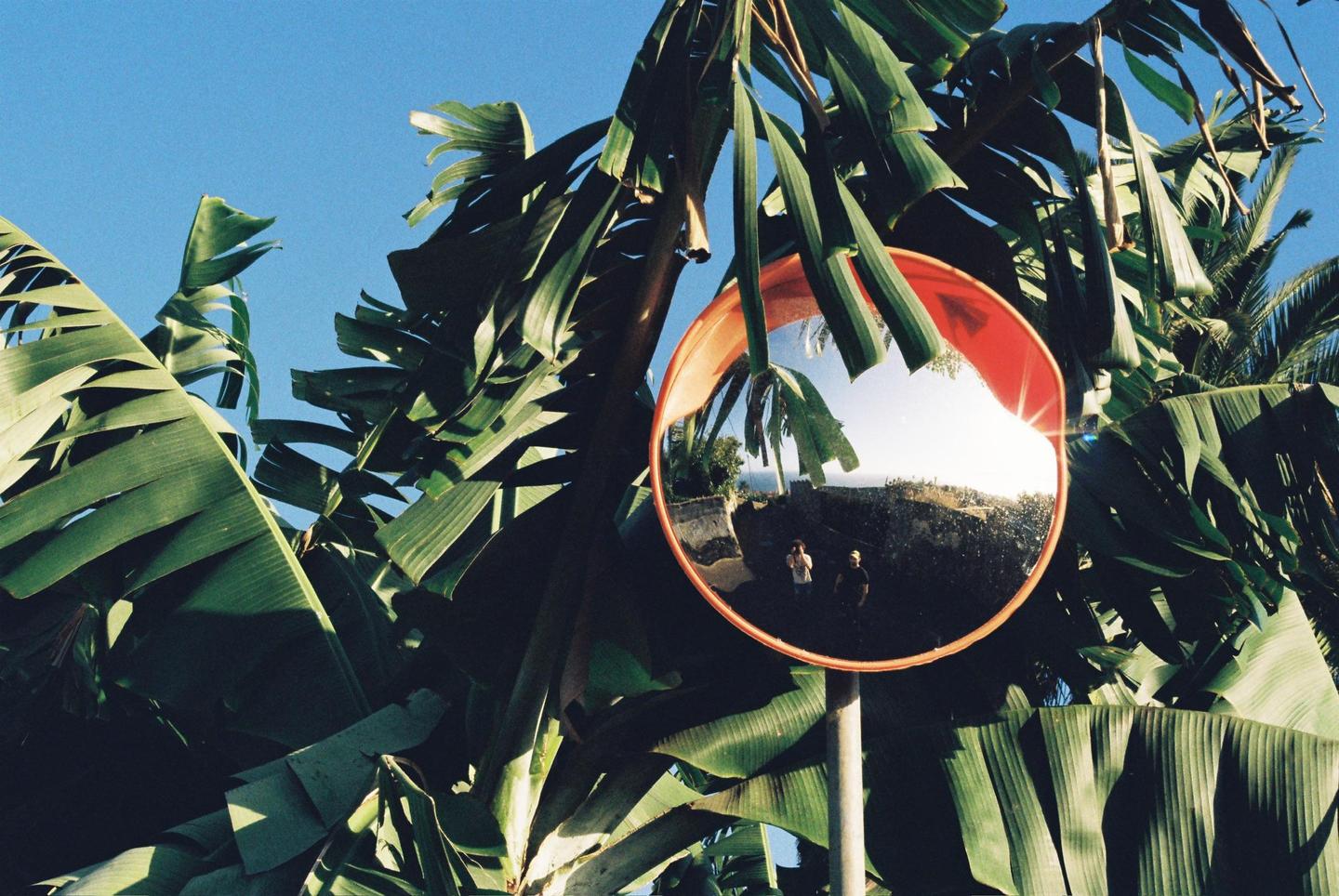 A convex mirror reflects two people and a landscape with the ocean in the background, surrounded by large green leaves under a clear blue sky.