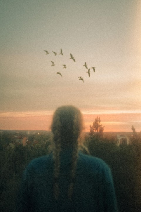 A woman with braided hair watches birds fly across a sunset sky over a town.