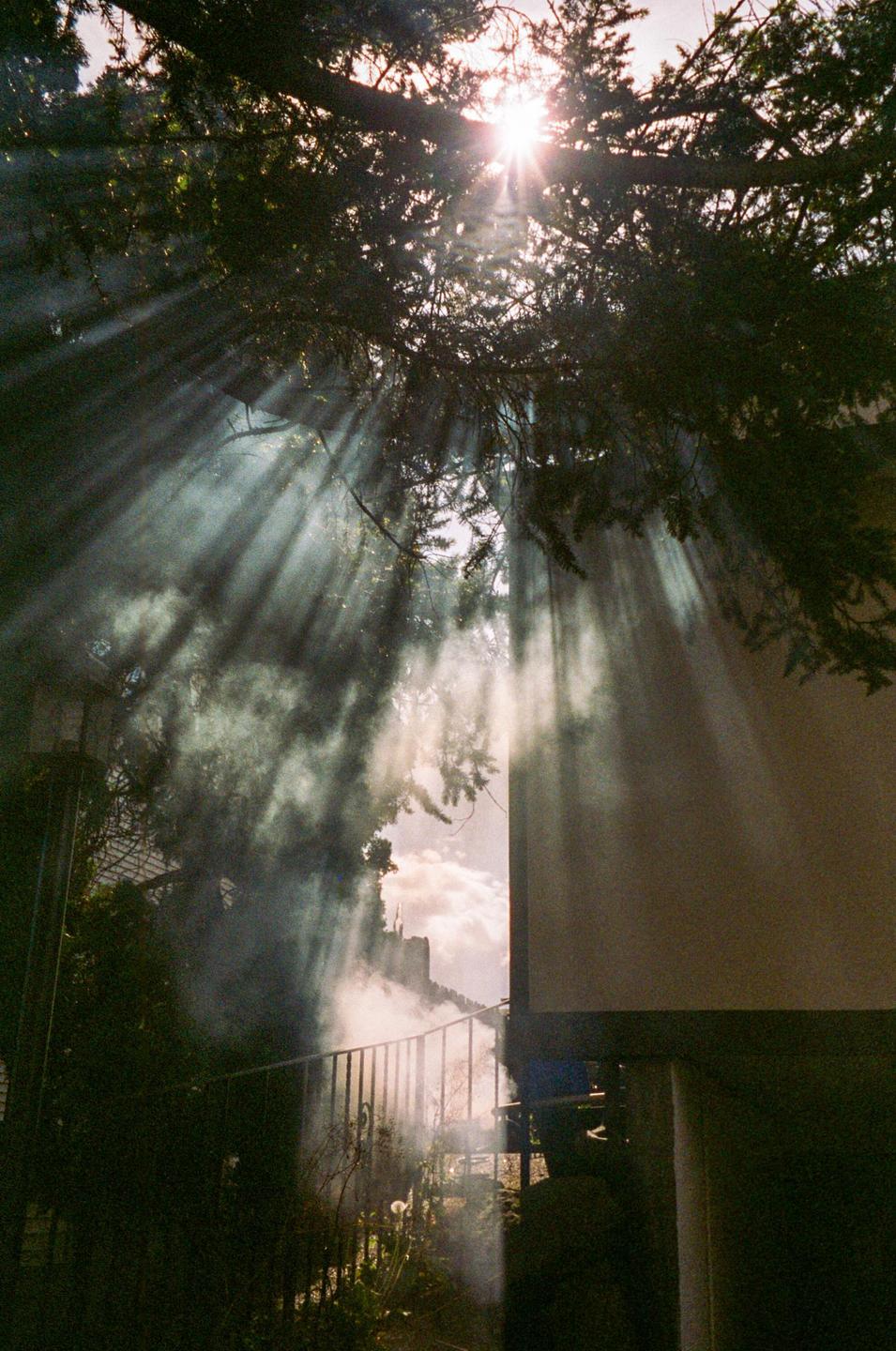 Sunlight streams through the branches of a tree, illuminating smoke and a distant castle.