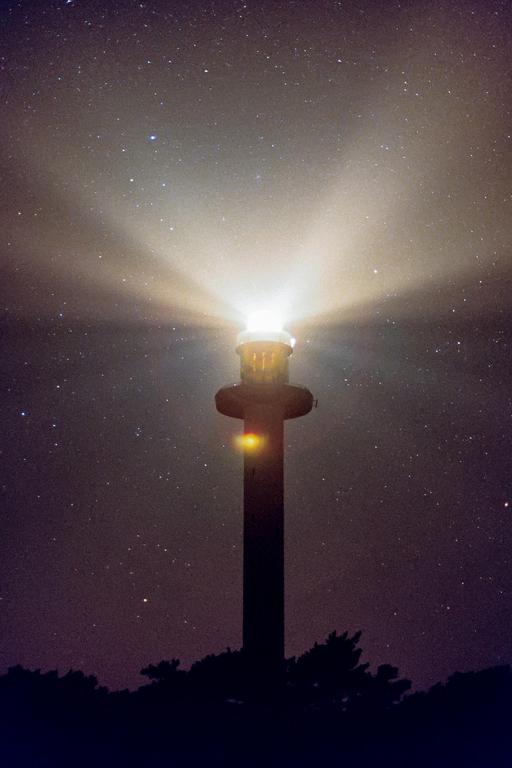 A lighthouse shines brightly against a starry night sky with trees silhouetted in the foreground.