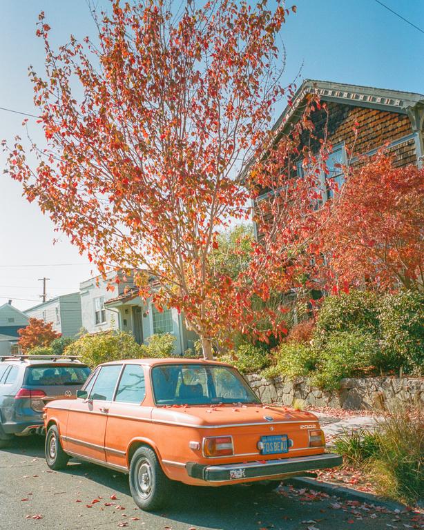 An orange car is parked on a residential street lined with houses and trees with autumn foliage.