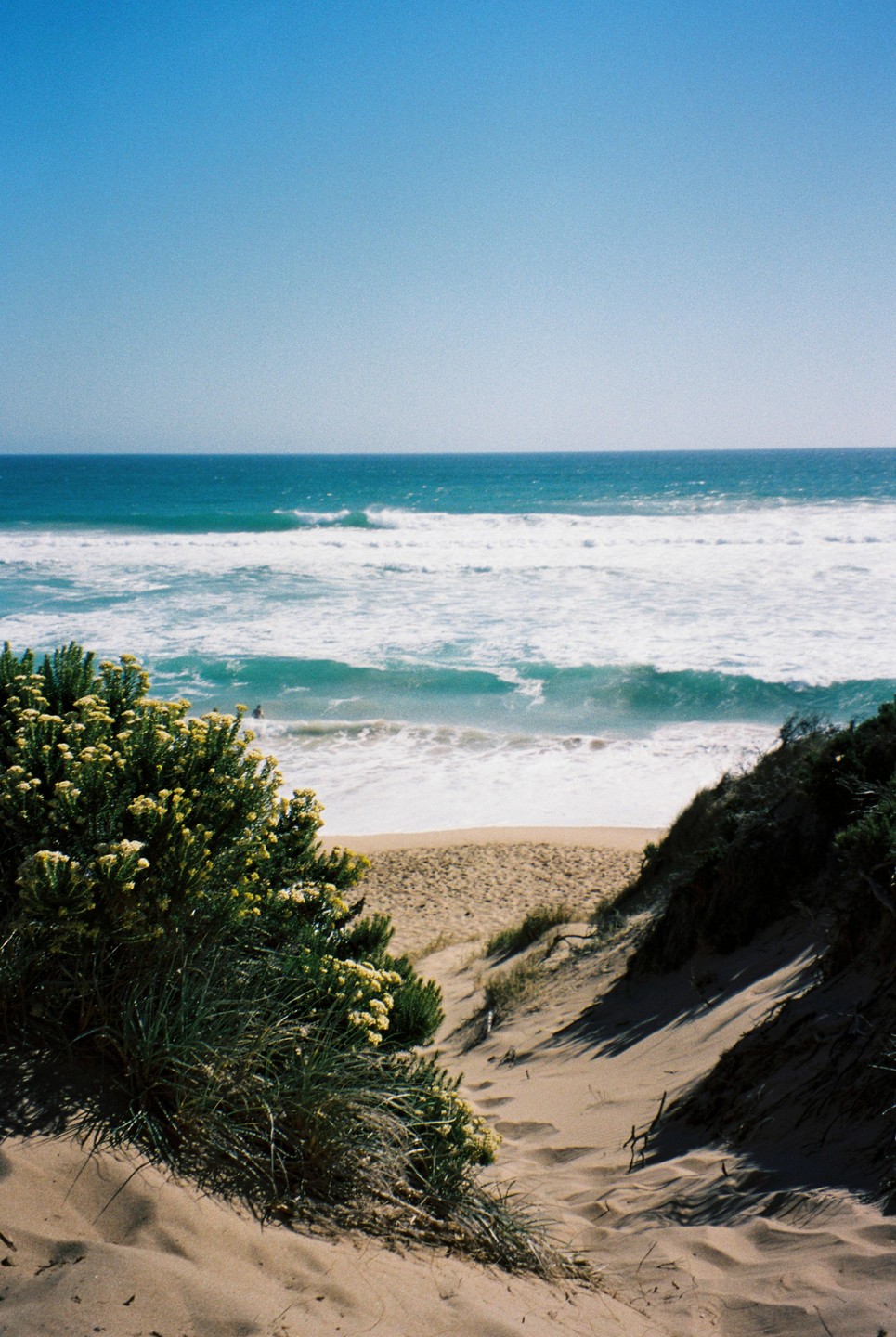 A sandy path leads down to a beach with waves crashing on the shore under a clear blue sky.