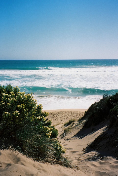 A sandy path leads down to a beach with waves crashing on the shore under a clear blue sky.
