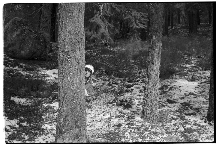 A woman wearing a hat peeks from behind a tree in a snowy forest.