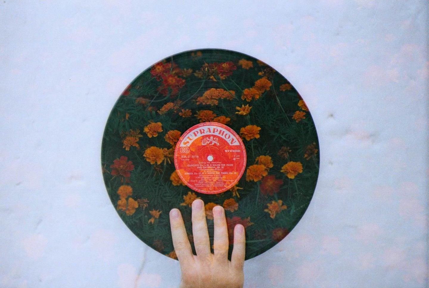 A hand holds a vinyl record with a floral pattern and a red label.
