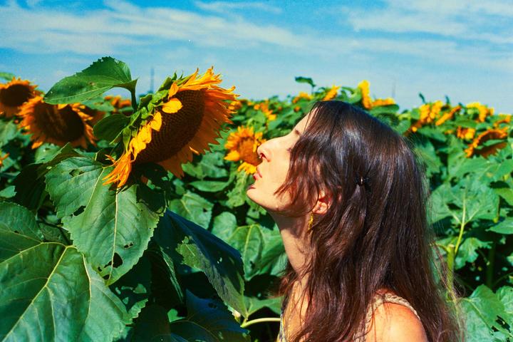 A woman with long brown hair stands in a field of sunflowers under a blue sky.