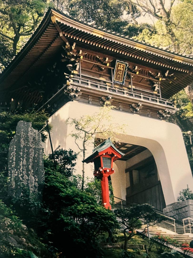 Is it just easier to take good photos in some countries? Enoshima Island, Japan. Kodak Ultramax 400 / Canon EOS 500, shot on CANON EOS 500