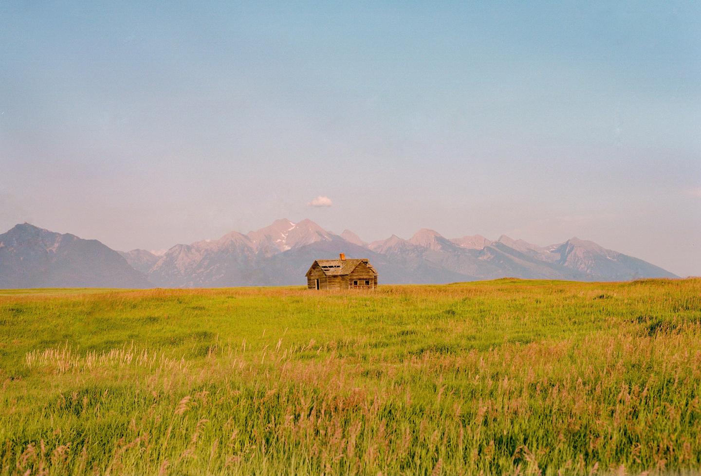 An abandoned wooden cabin stands in a field of tall grass with mountains in the background.