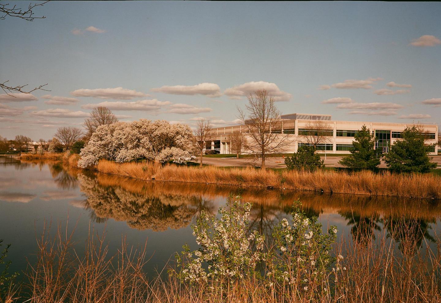 A body of water reflects the sky and trees, with a large building visible in the background.