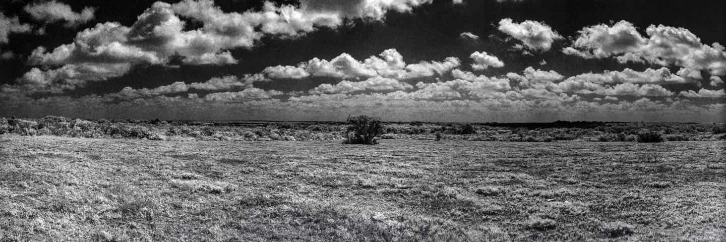 A panoramic landscape shows a field of grass with a single tree in the middle distance under a sky filled with clouds.