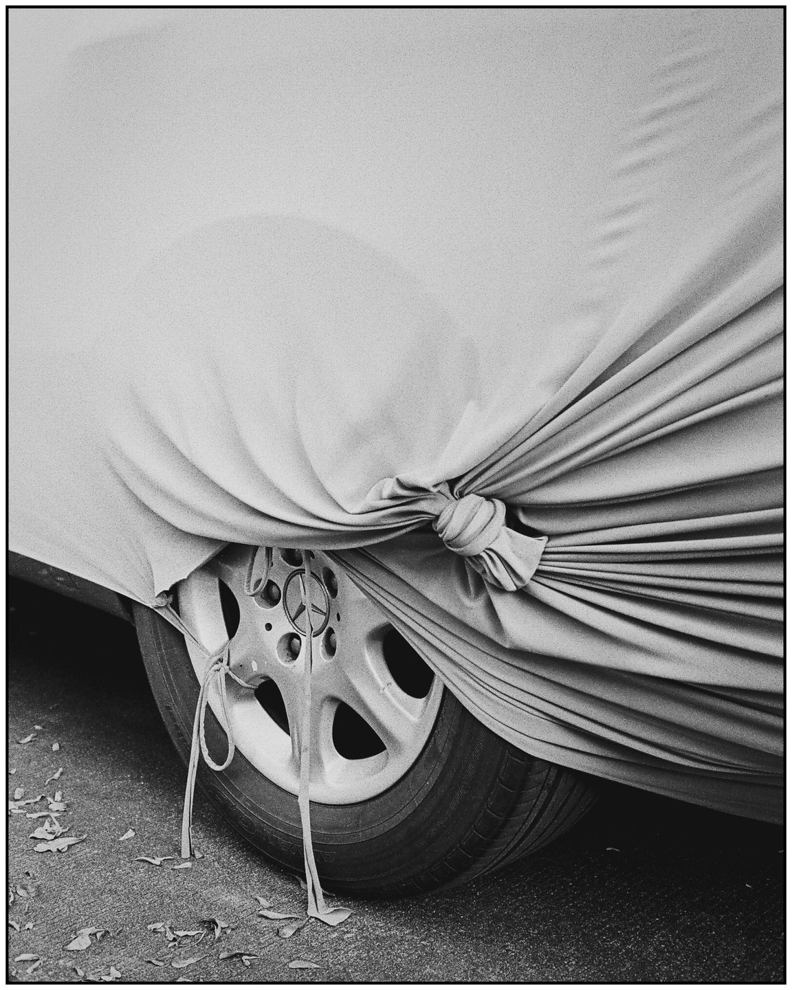 A car covered by a protective sheet is parked on an asphalt surface with fallen leaves.