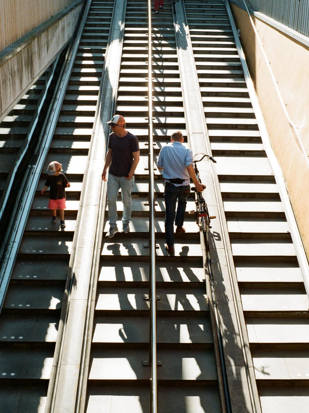 A man, a child, and another man with a bicycle walk on a wide outdoor staircase with strong shadows.