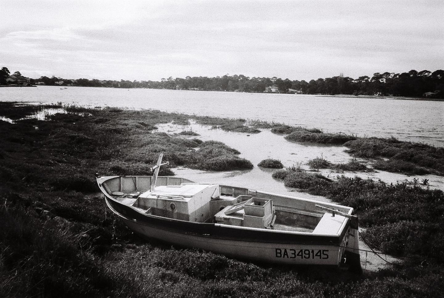 A small boat rests on the grassy bank of a body of water, with trees visible on the far shore.