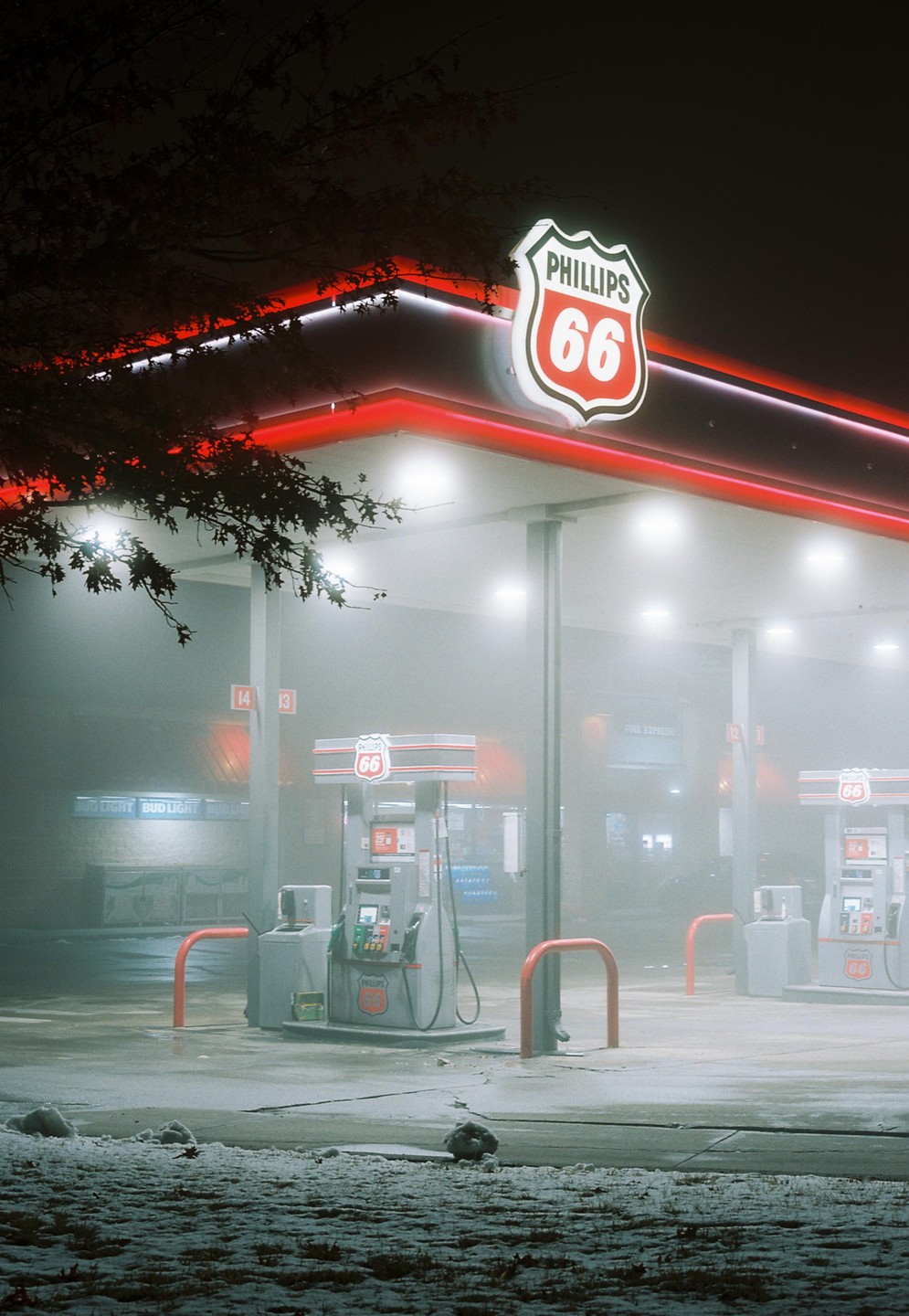 A Phillips 66 gas station is illuminated by neon lights on a foggy winter night.