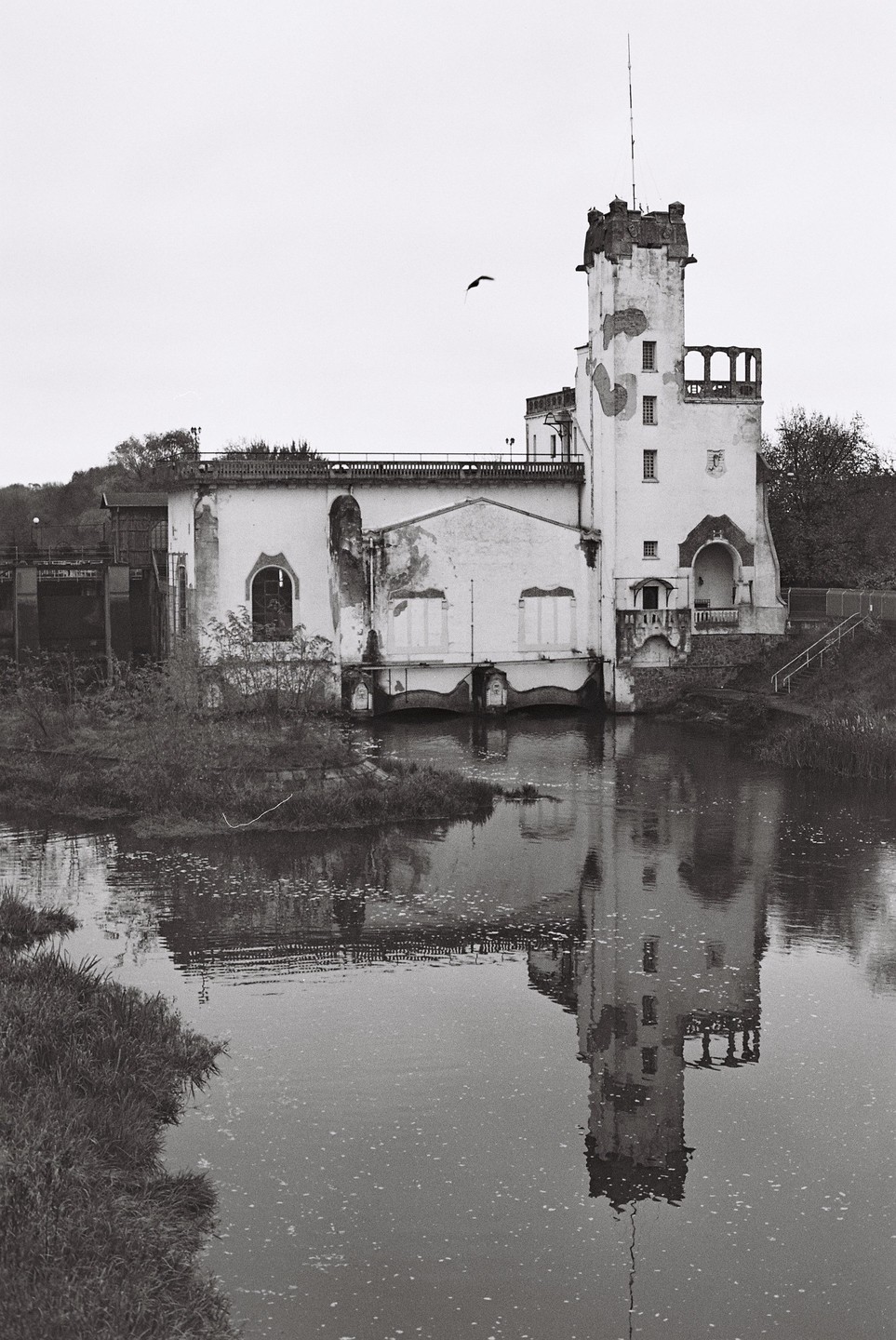 A bird flies over a white building with a tower that is reflected in the water below.