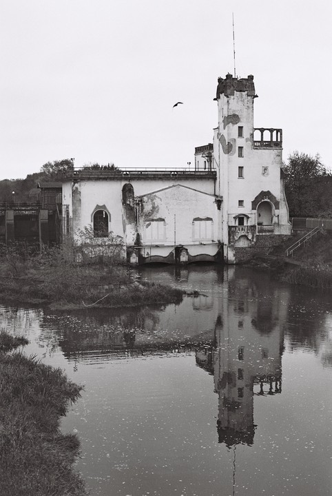 A bird flies over a white building with a tower that is reflected in the water below.